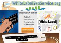 White Label Seo Service image 1